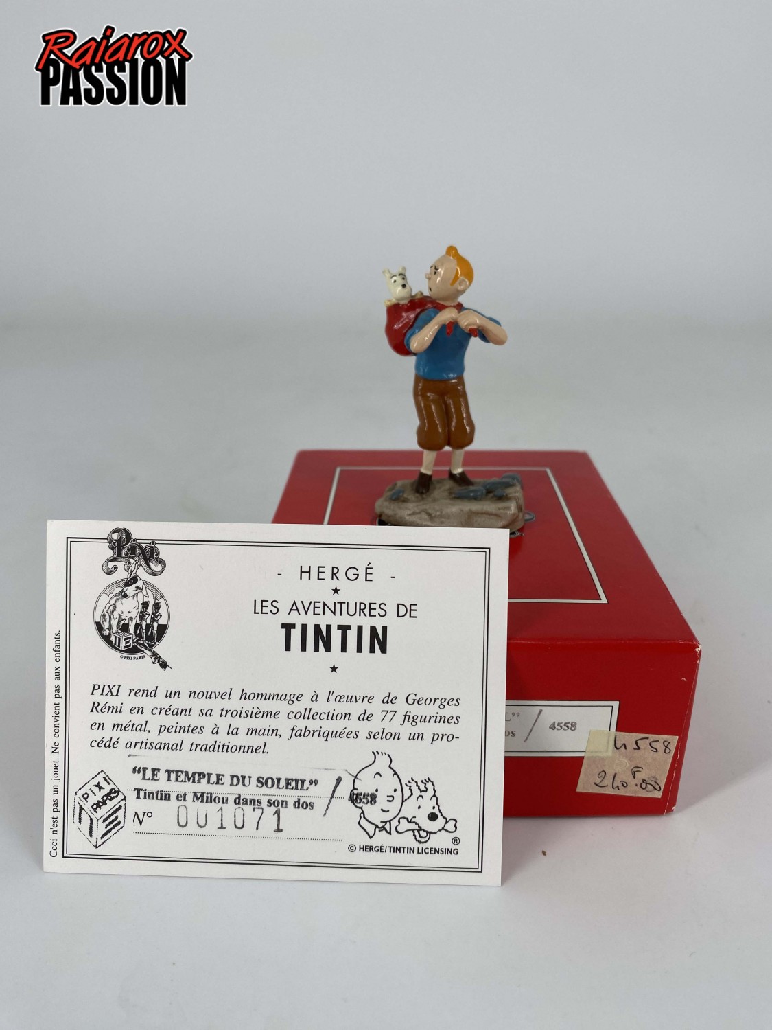 Tintin et Milou dans son dos